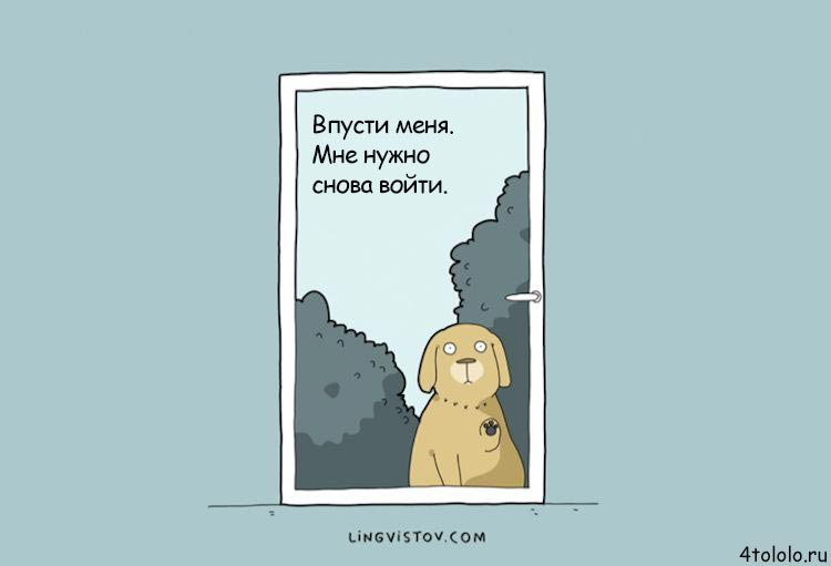 Смешные комиксы о собачьих заскоках, комиксы о собаках, Lingvistov