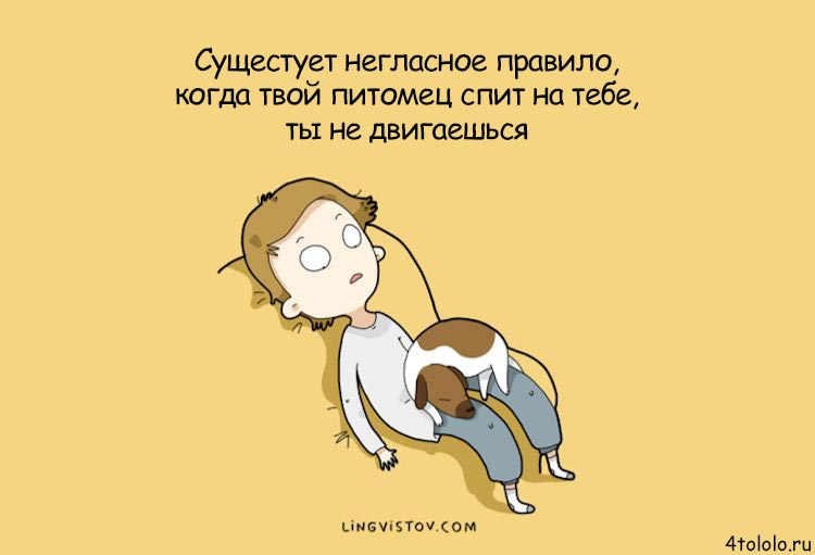 Смешные комиксы о собачьих заскоках, комиксы о собаках, Lingvistov