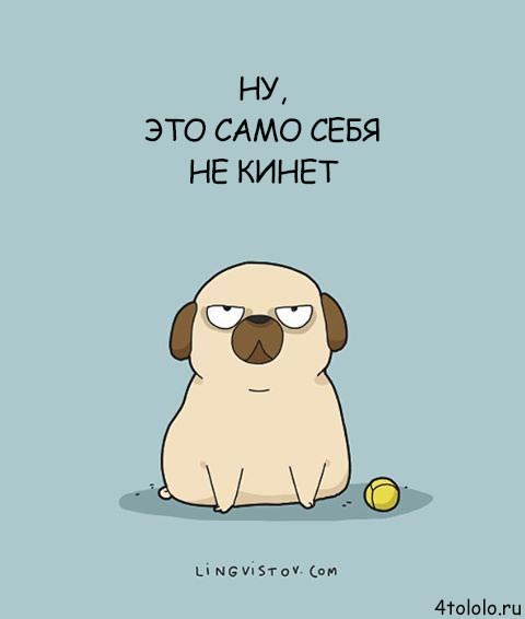 Смешные комиксы о собачьих заскоках, комиксы о собаках, Lingvistov