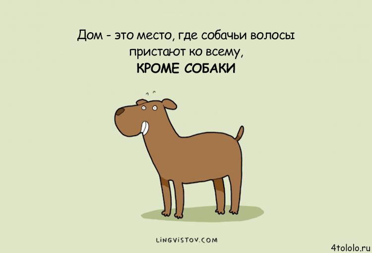 Смешные комиксы о собачьих заскоках, комиксы о собаках, Lingvistov