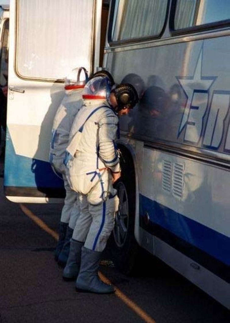 познавательные факты, спорим вы не знали