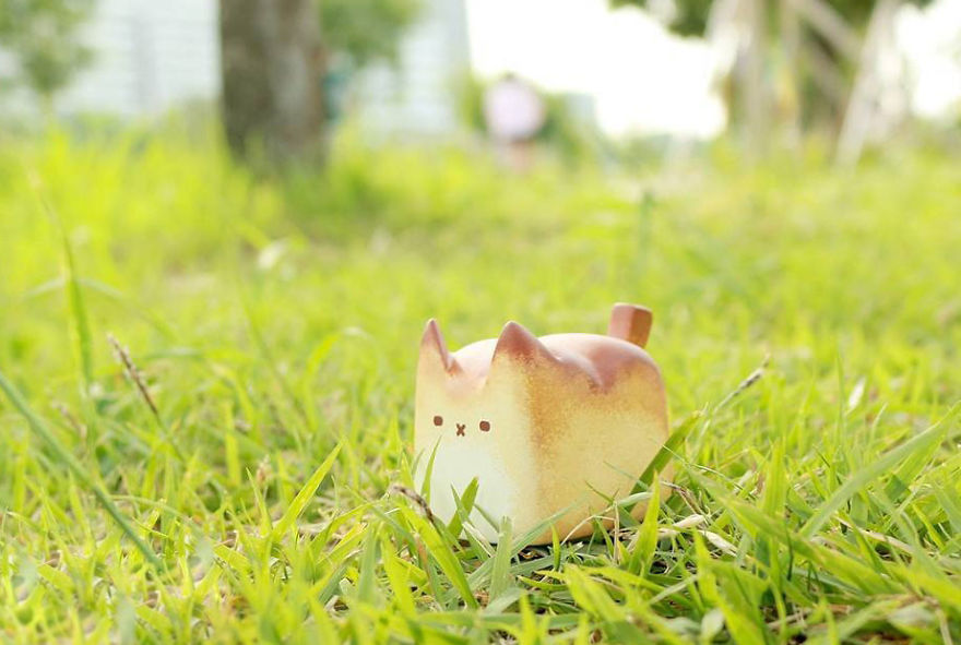 Котохлеб или котики, которых так и хочется съесть Котохлеб, cat bread, Рато Ким, Rato Kim