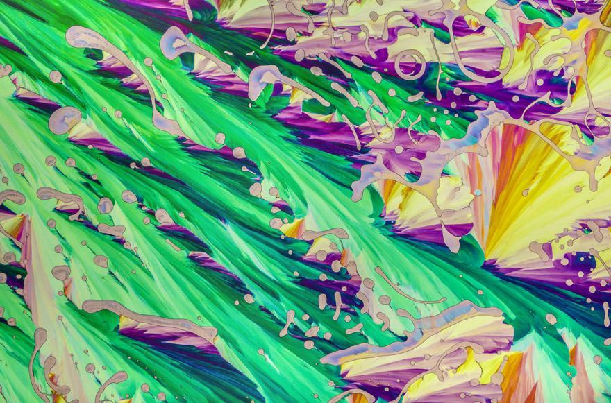 аботы победителей фотоконкурса микрофотографии, Nikon's Small World 2016