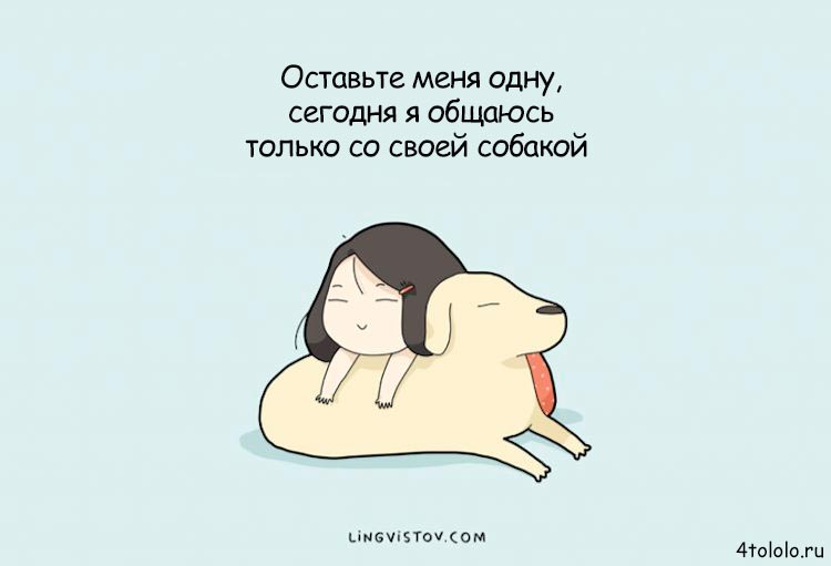 Смешные комиксы о собачьих заскоках, комиксы о собаках, Lingvistov