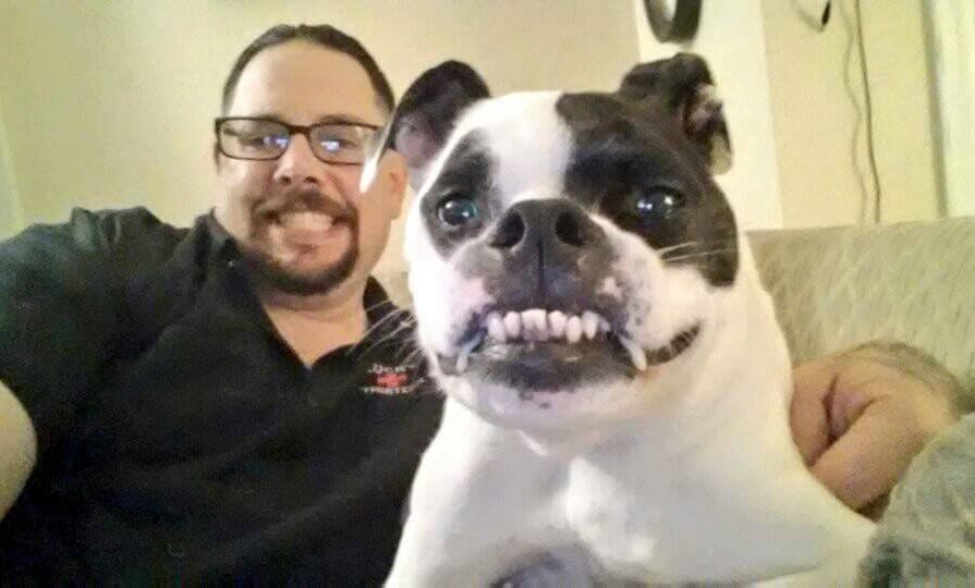 короткий позвоночник, питуль по кличке Куда, Cuda dog