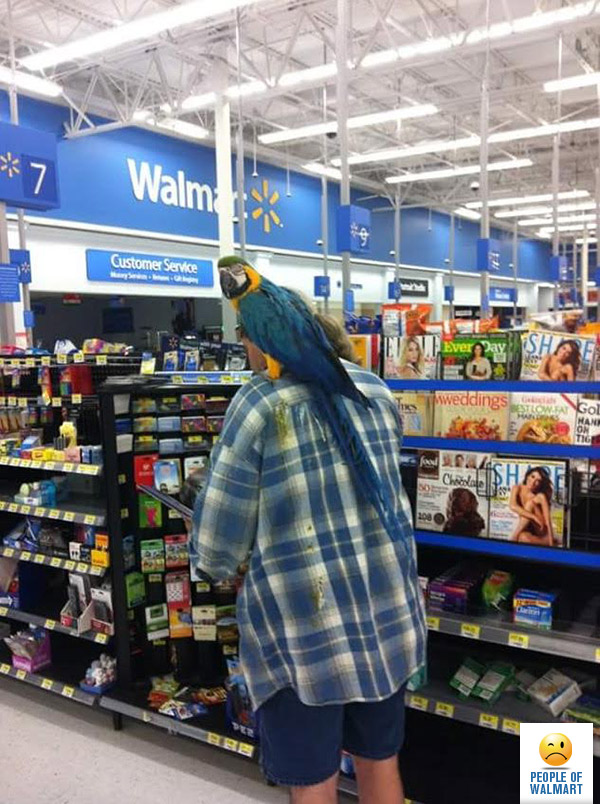 people of walmart, странные американцы, наряды посетителей американских супермаркетов