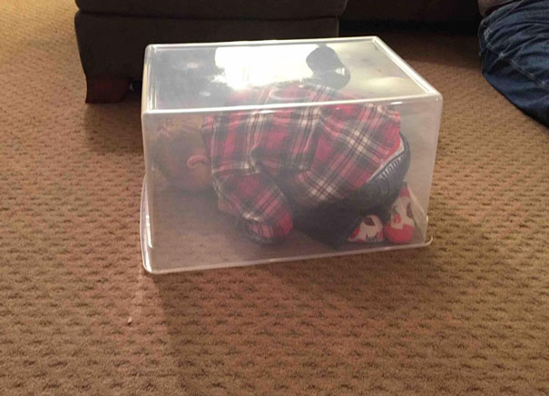 Маленькие мастера маскировки, которым нет равных в игре в прятки Маленькие мастера маскировки, дети играют в прятки