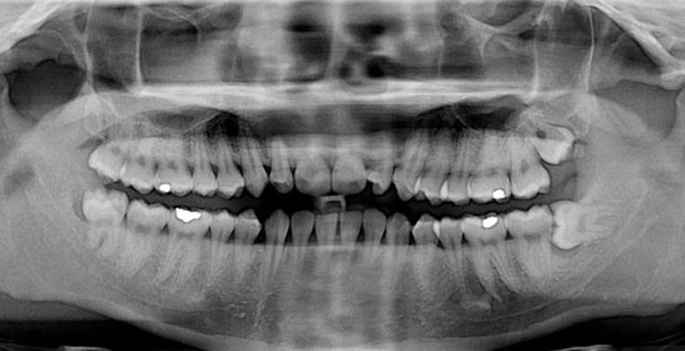 вредоносные научные теории, научные теории которые принесли вред