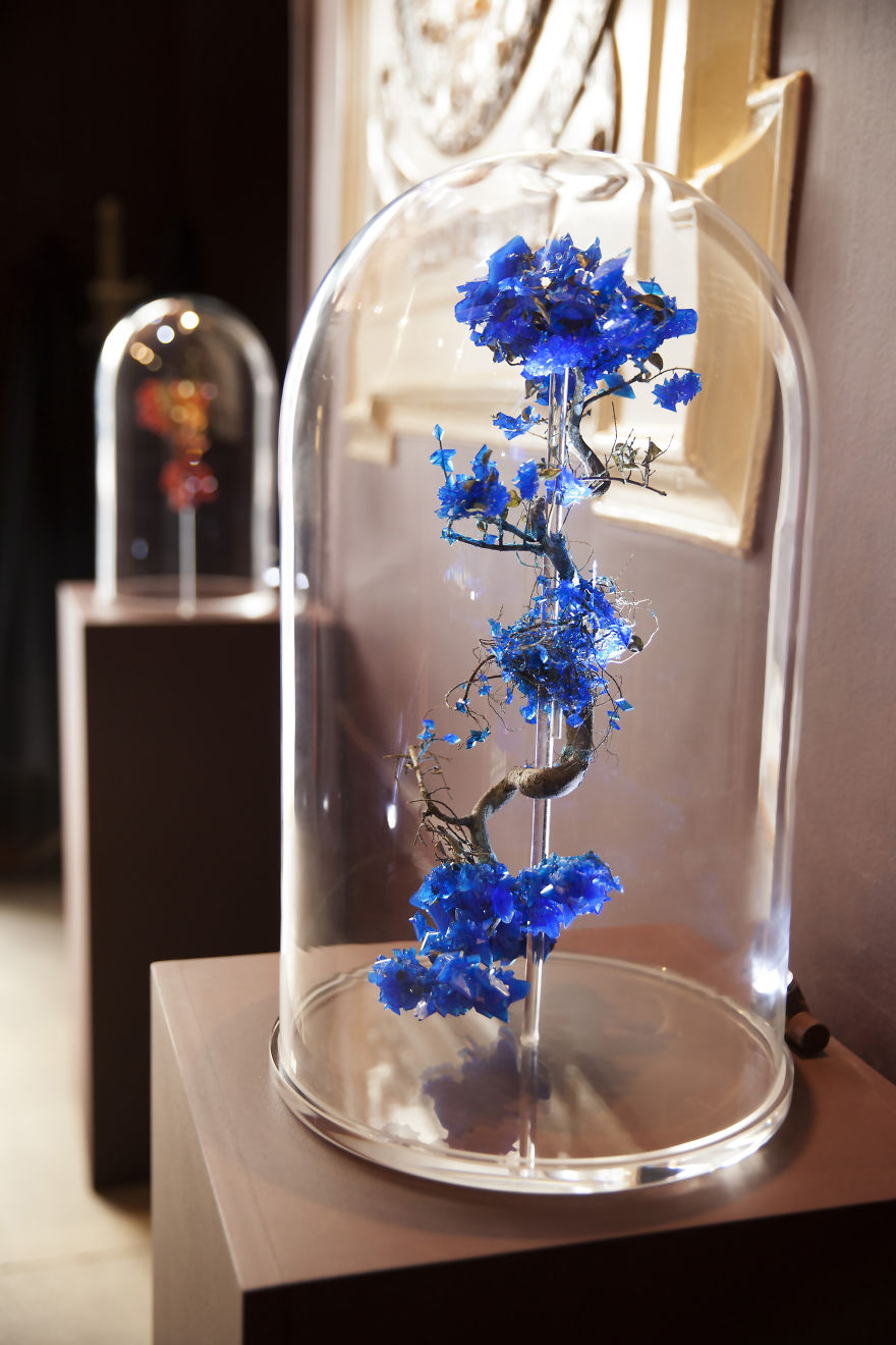 Растения инкрустированные кристаллами, Элисон Моуот, Alyson Mowat