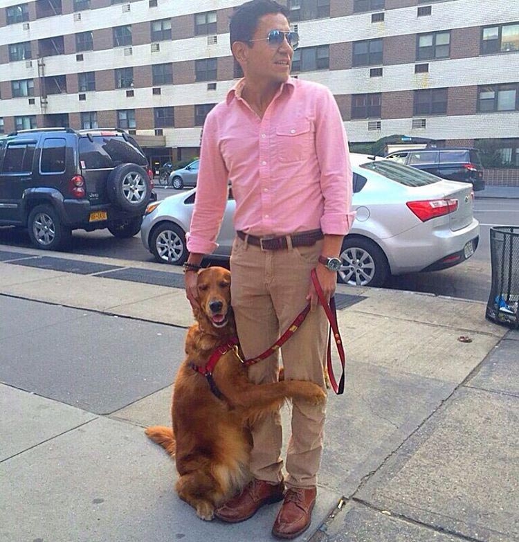 Лубутина — собака, обожающая обнимашки и сводящая интернет с ума своей милотой собака обнимашки, Лубутина, Луби, собака любит обнимашки