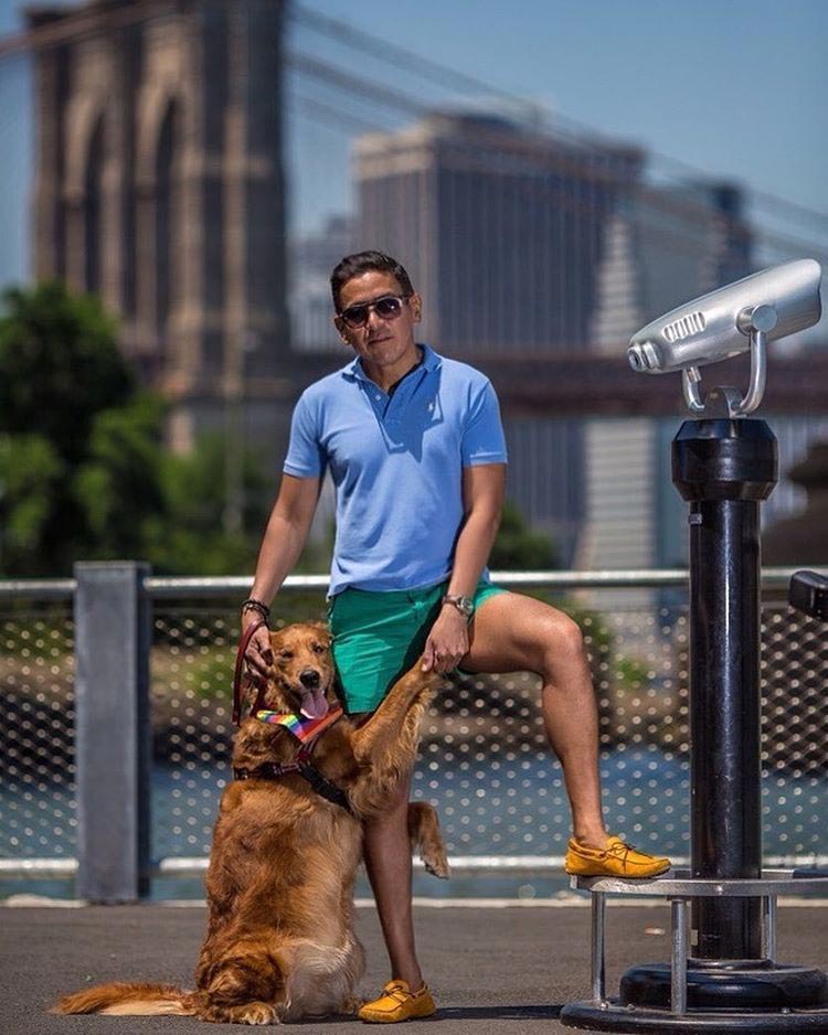 Лубутина — собака, обожающая обнимашки и сводящая интернет с ума своей милотой собака обнимашки, Лубутина, Луби, собака любит обнимашки