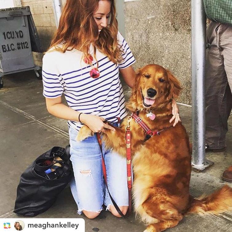 Лубутина — собака, обожающая обнимашки и сводящая интернет с ума своей милотой собака обнимашки, Лубутина, Луби, собака любит обнимашки