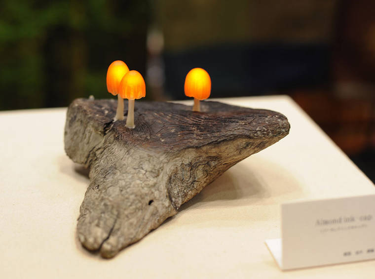 Завораживающие лампы в виде коряг со светящимися грибами грибные лампы, лампы в виде грибов, Mushroom Lamps, Юкио Такано, Yukio Takano