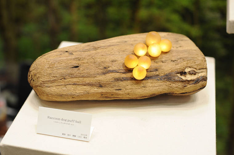 Завораживающие лампы в виде коряг со светящимися грибами грибные лампы, лампы в виде грибов, Mushroom Lamps, Юкио Такано, Yukio Takano