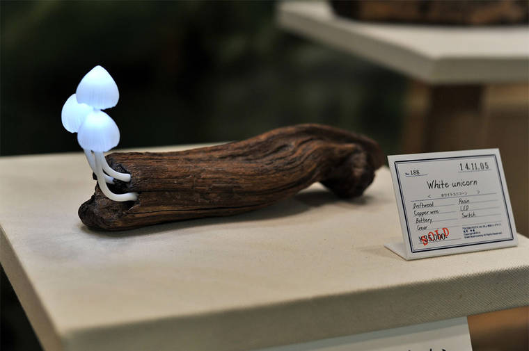 Завораживающие лампы в виде коряг со светящимися грибами грибные лампы, лампы в виде грибов, Mushroom Lamps, Юкио Такано, Yukio Takano