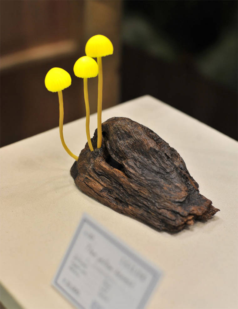 Завораживающие лампы в виде коряг со светящимися грибами грибные лампы, лампы в виде грибов, Mushroom Lamps, Юкио Такано, Yukio Takano