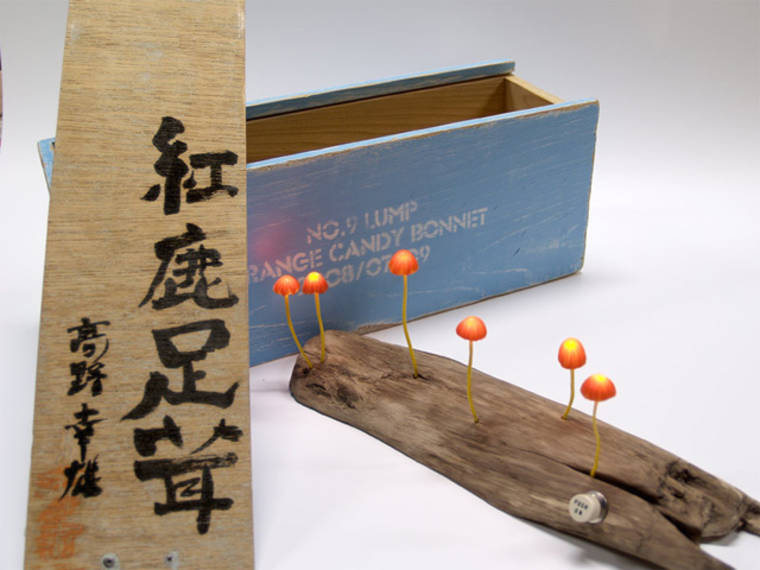 Завораживающие лампы в виде коряг со светящимися грибами грибные лампы, лампы в виде грибов, Mushroom Lamps, Юкио Такано, Yukio Takano