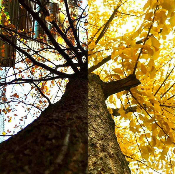 Half & Half, Ли Сок,Li Seok, Данби Шин, Danbi Shin, объединяют свои фотографии