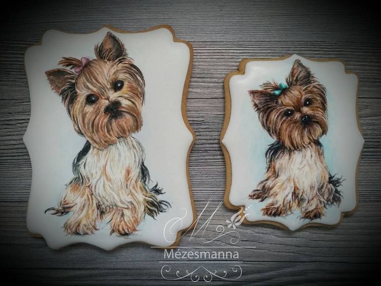 Кондитер превращает печенье в вышивки, Mézesmanna, Юдит Цинкни Пур, Judit Czinkné Poór