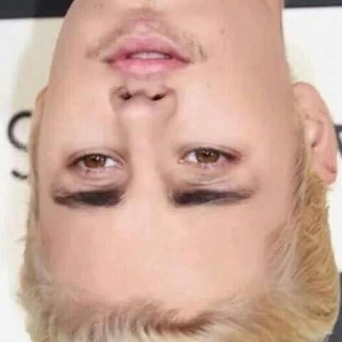 перевернуть фото знаменитостей, перевёрнутые фото знаменитостей