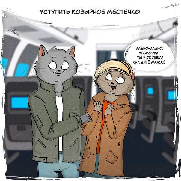 Bird Born, важны не слова а поступки