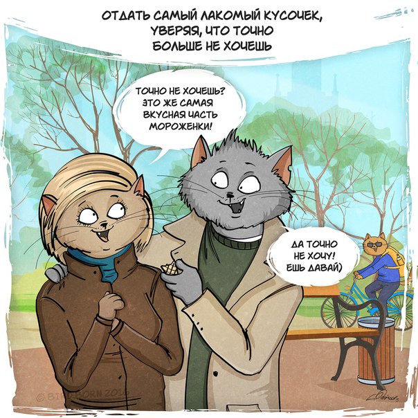 Bird Born, важны не слова а поступки