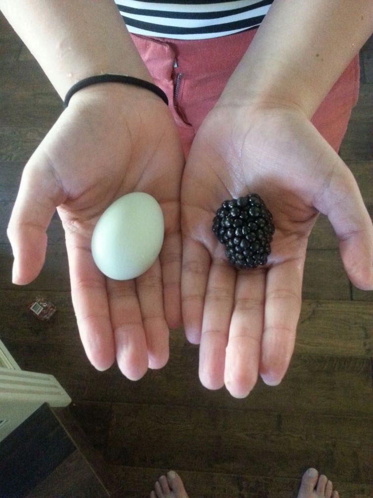 необычные продукты взглянуть дважды, продукты необычной формы