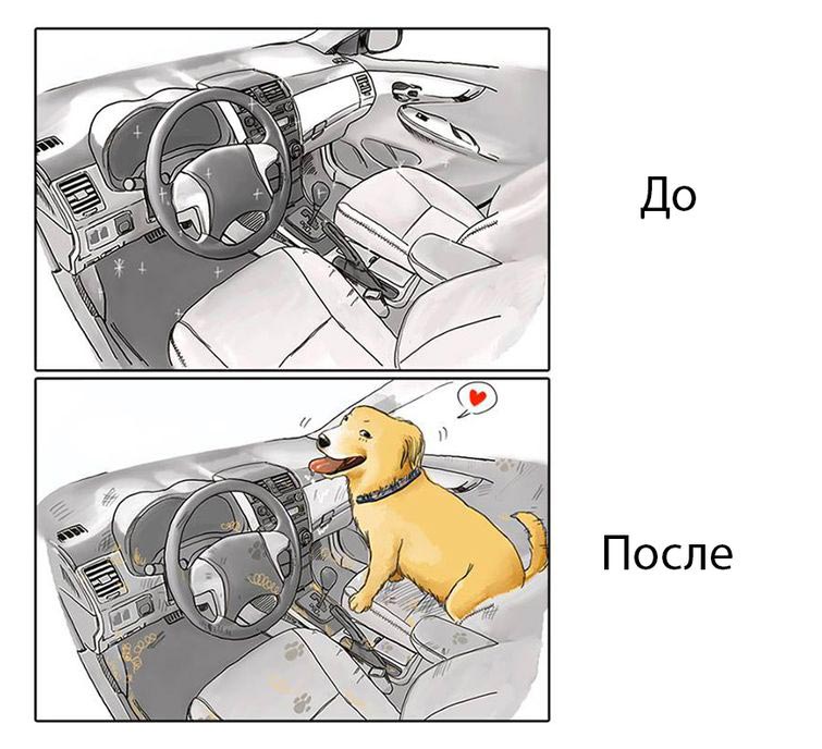 Жизнь до и после появления собаки, жизнь с собакой и без, Меймай Джон, Maimai John