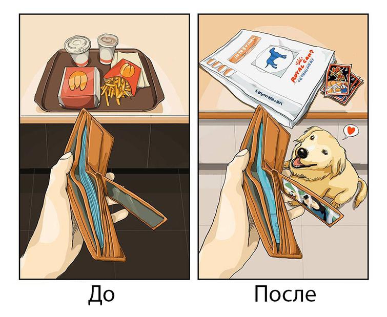 Жизнь до и после появления собаки, жизнь с собакой и без, Меймай Джон, Maimai John
