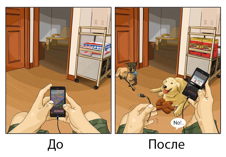 Жизнь до и после появления собаки, жизнь с собакой и без, Меймай Джон, Maimai John