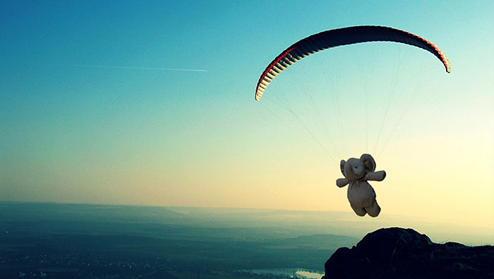 мальчик потерял слонёнка, фотошоперы помогли мальчику потерявшему слонёнка