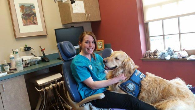 У этого стоматолога есть одно необычное пушистое средство, чтобы успокоить своих пациентов собака у стоматолога, собака помогает стоматологу, собака стоматолог успокоить пациентов