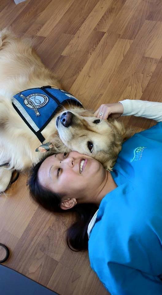 У этого стоматолога есть одно необычное пушистое средство, чтобы успокоить своих пациентов собака у стоматолога, собака помогает стоматологу, собака стоматолог успокоить пациентов