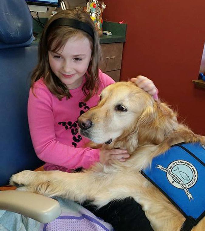 У этого стоматолога есть одно необычное пушистое средство, чтобы успокоить своих пациентов собака у стоматолога, собака помогает стоматологу, собака стоматолог успокоить пациентов