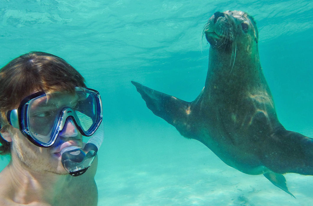 20 крутых селфи, которые стоят того, чтобы на них посмотреть крутые селфи, селфи которые сделает не каждый