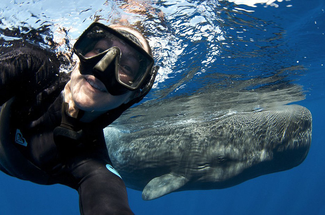 20 крутых селфи, которые стоят того, чтобы на них посмотреть крутые селфи, селфи которые сделает не каждый