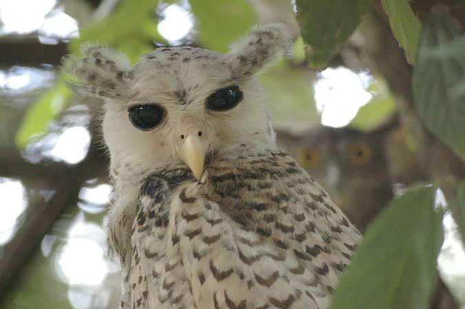 фотографии с сюрпризами, фотографии со спрятанными сюрпризами, фотографии со спрятанными элементами