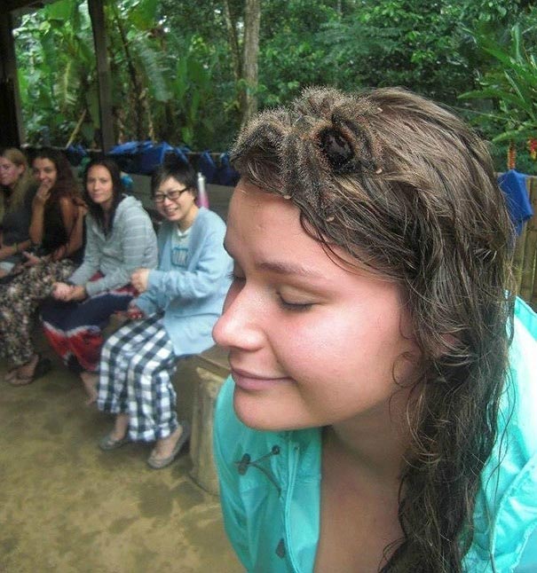 фотографии с сюрпризами, фотографии со спрятанными сюрпризами, фотографии со спрятанными элементами