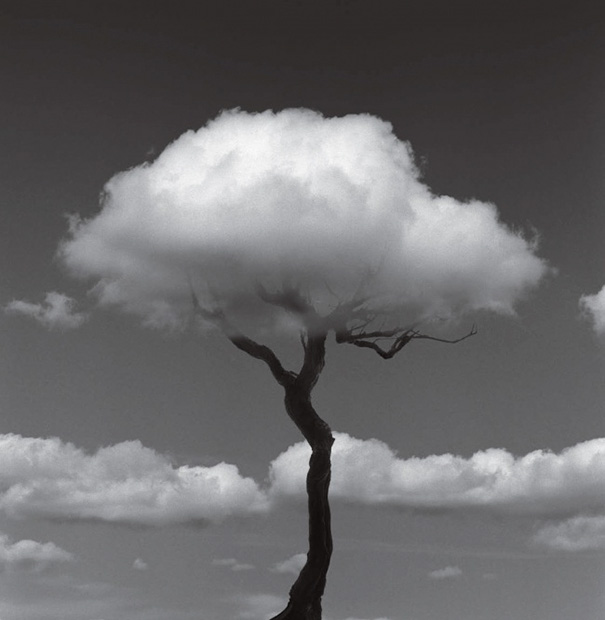 чёрно-белые галлюциногенные фотографии, Чема Мадоз, Chema Madoz