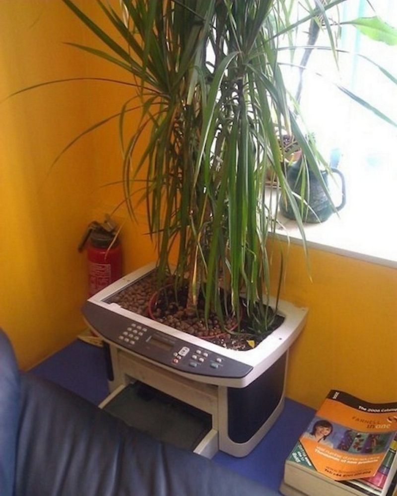 наша раша, это Россия детка, такое можно встретить только в нашей стране