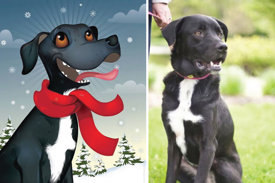 Портреты животных с характером, Художница рисует портреты домашних животных, Крис Битоу, Chris Beetow