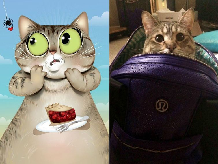 Портреты животных с характером, Художница рисует портреты домашних животных, Крис Битоу, Chris Beetow