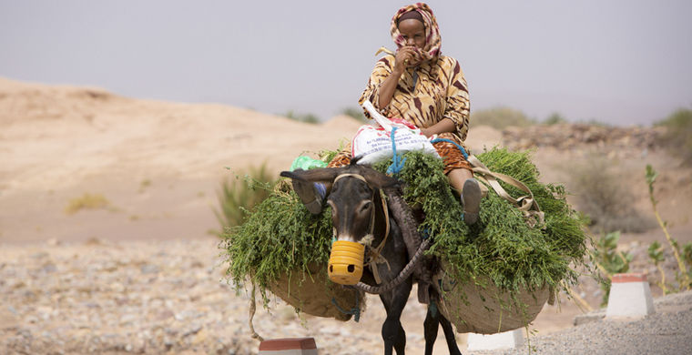  чего нельзя делать в Марокко, запреты Марокко