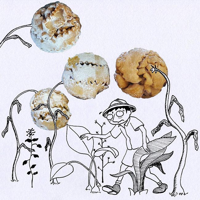 Массимо Фенати, Massimo Fenati, художник включает еду в свои иллюстрации