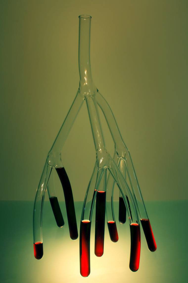 Утонченные кувшины для вина в виде корней деревьев и кровеносной системы кувшины для вина, кувшины в виде корней деревьев, кувшины в виде кровеносной системы