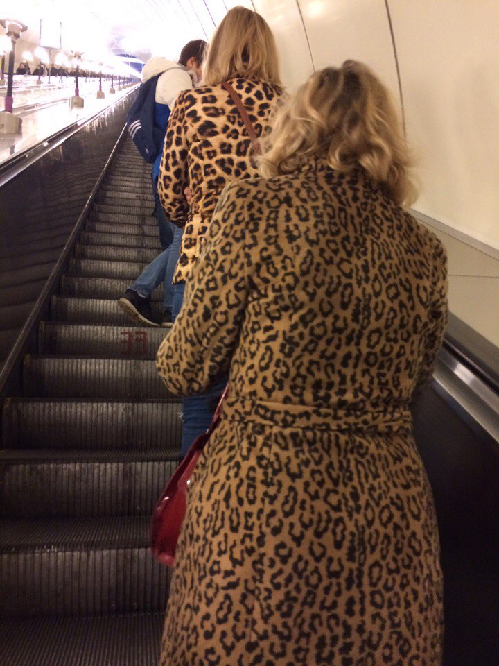 мода петербургского метро, мода метро, модники в транспорте, странные пассажиры метро 