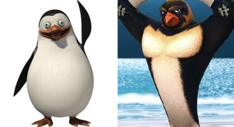 драма в жизни пингвина, страсти в семье пингвинов, драка пингвинов за самку,