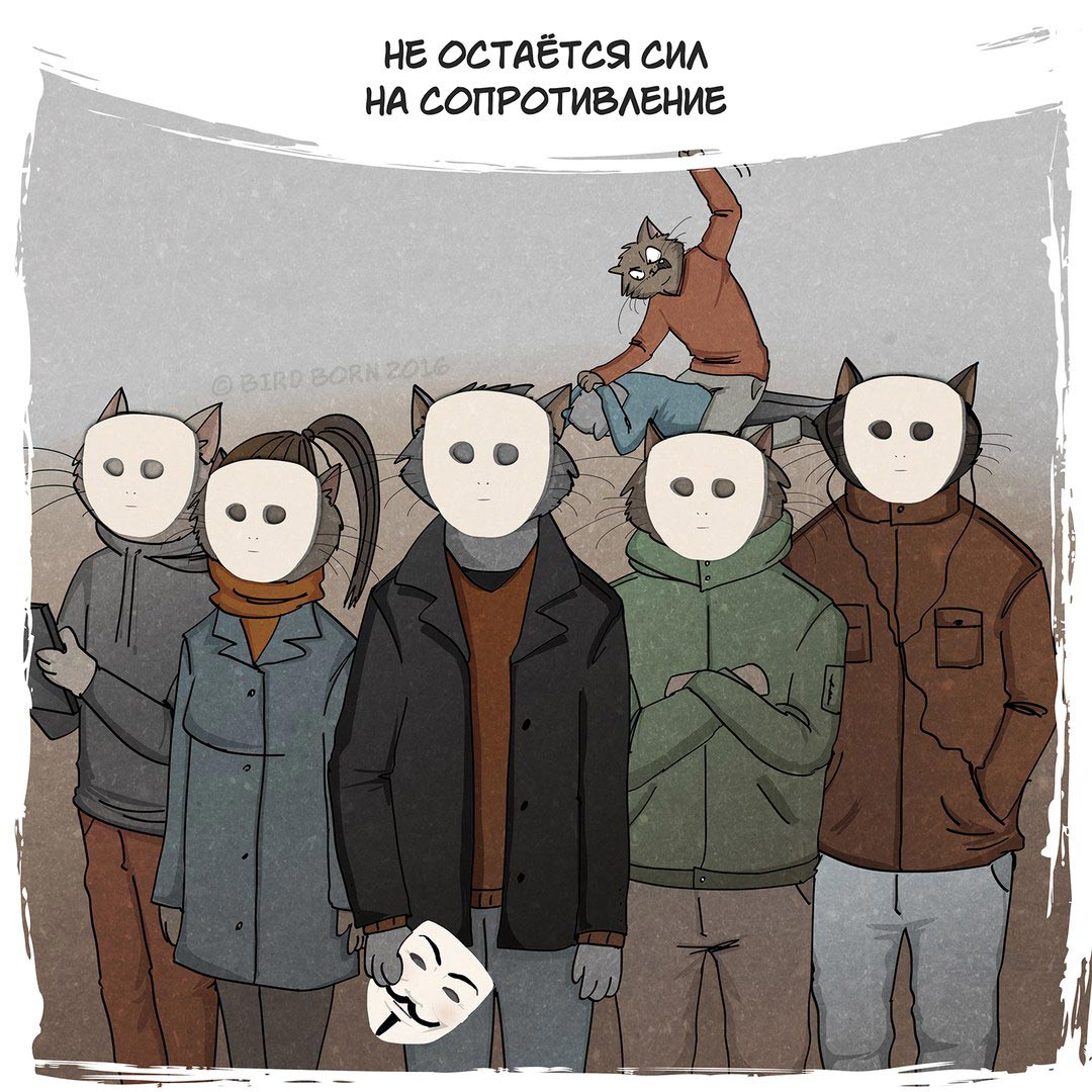 Bird Born, всё что вам нужно это любовь