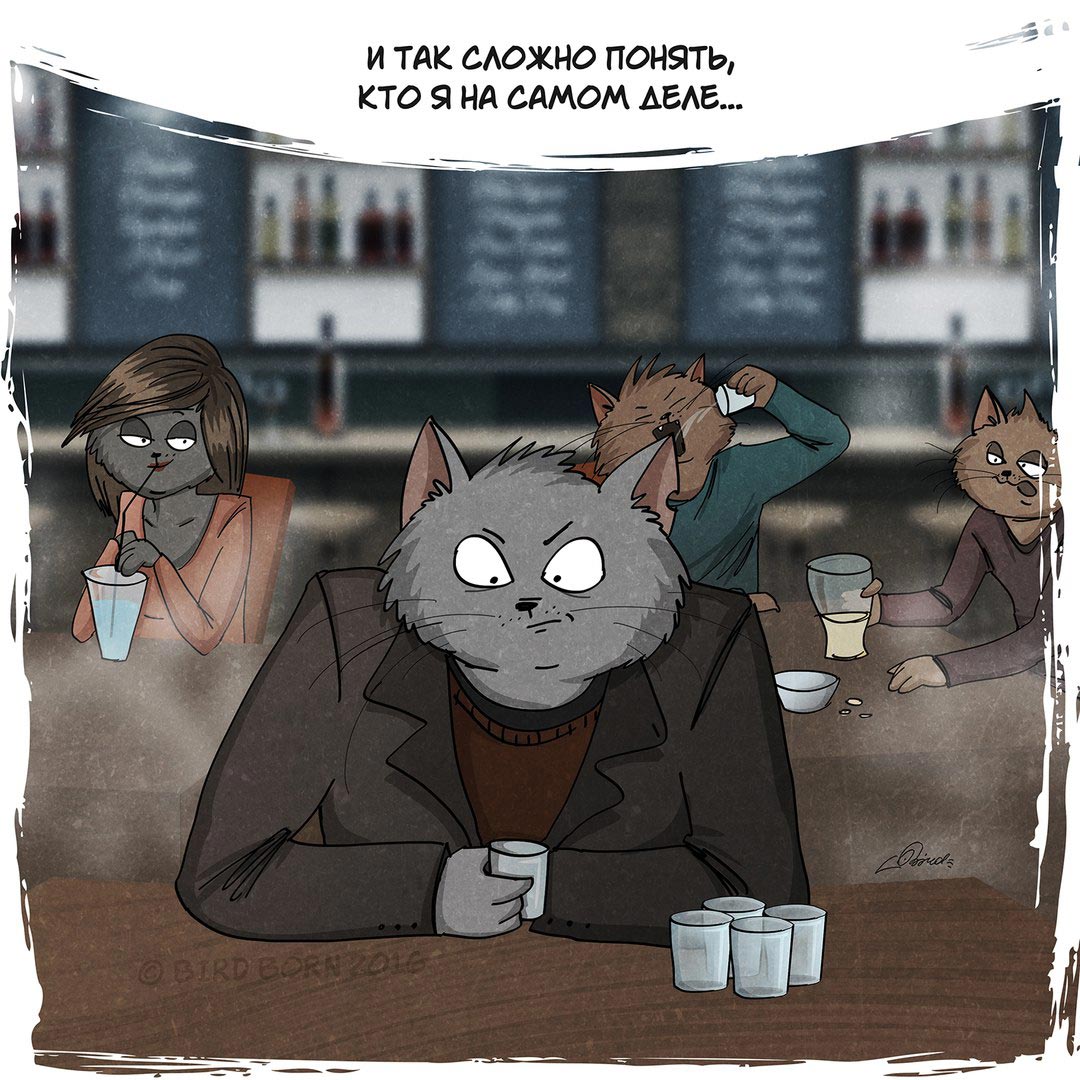 Bird Born, всё что вам нужно это любовь