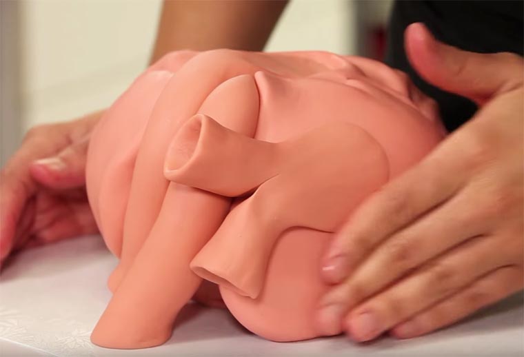 торт в виде сердца, торт в виде настоящего сердца, реалистичный торт в виде сердца